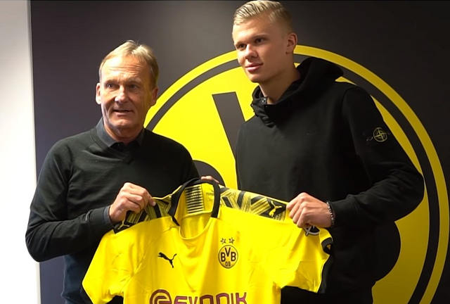 足协杯决赛国安对阵河南名单出炉，张玉宁+4外援首发PK5外援，最新消息（最新：足协杯决赛国安vs河南名单公布，张玉宁领衔四外援首发对位五外援）